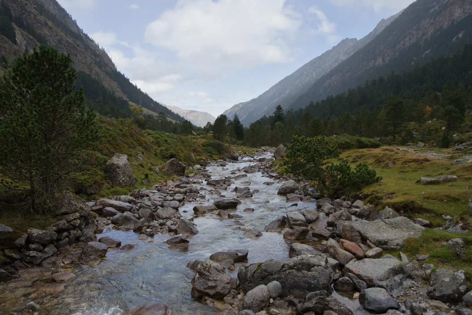 Nature photograph DSC01734
