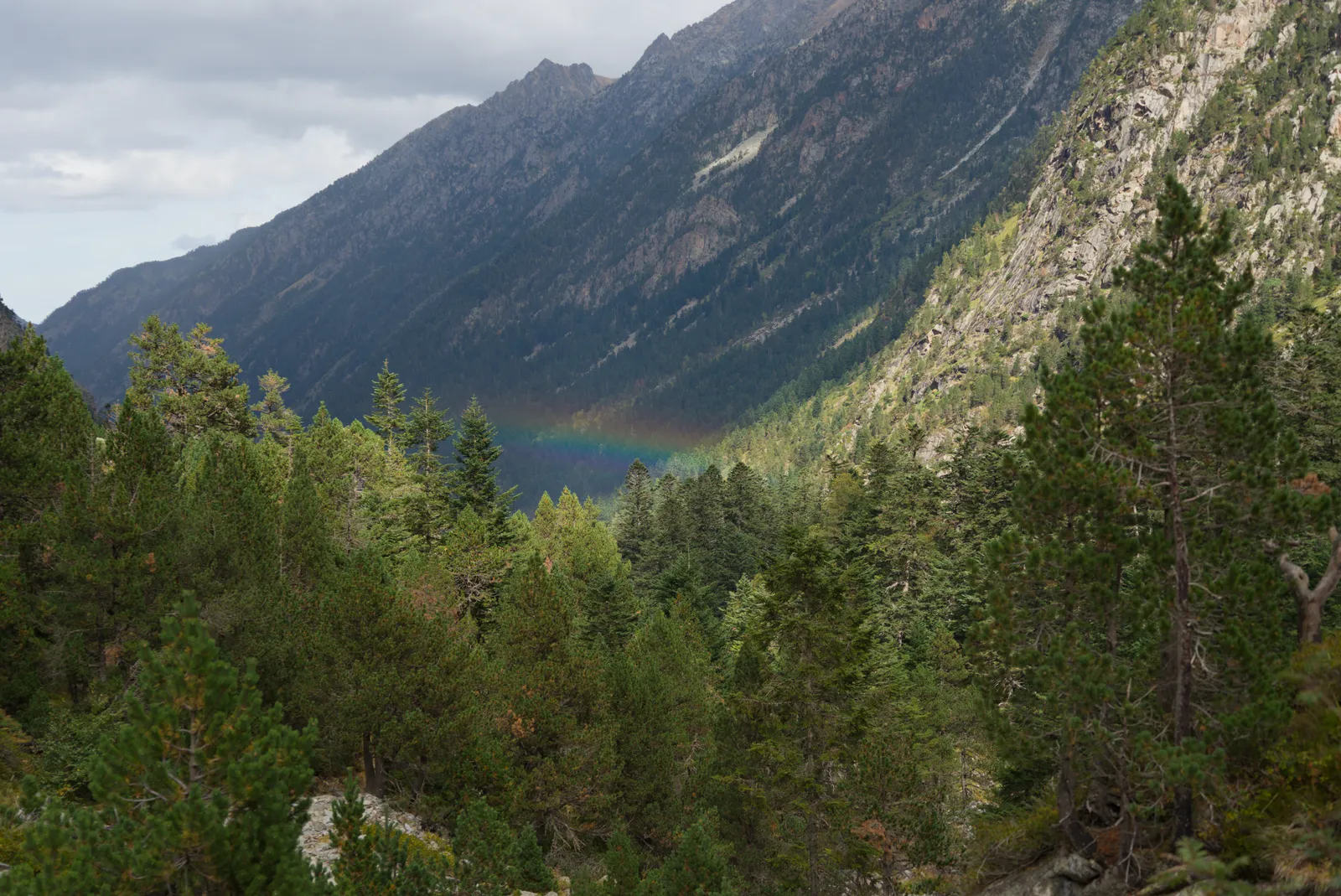 Nature photograph DSC01766